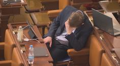 Poslanci svolali mimořádnou schůzi. Babiš mával ve Sněmovně rohlíkem
