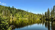 Kdysi mrtvé jezero žije! Našli i tvora napůl rostlinu, napůl živočicha!
