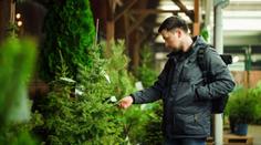 Lidé omezují výdaje na dárky. Čekají nás skromnější Vánoce, říká ekonom