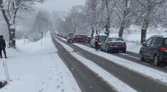 V sobotu má přijít jaro, dorazí mráz a sníh! Teploty ráno padnou i na -10 °C