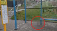 Šokující nález v Ostravě! Tohle byste na zastávce neměli zapomenout