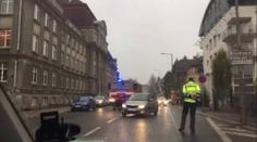 Žena zmateně pobíhala se psem po Liberci, policie ho zastřelila!