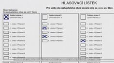Jak správně volit v komunálních volbách: Tohle by měl vědět každý volič