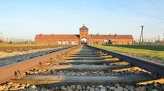 Turistka si stěžovala po návštěvě Osvětimi. Virální video rozzuřilo lidi
