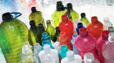 Odborník promluvil o rizicích mikroplastů. Jsou v rybách i našem těle, říká