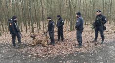 Stovky policistů prohledávaly Klánovický les. Hlídkovat tam budou dál