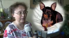 Nemocná paní Mašková: Aisha mi hrozně chybí. Neviděli jste ji?