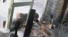 Policie hledá muže, který kvůli pizze rozbil výlohu. Nenajedl se, šlo o atrapu