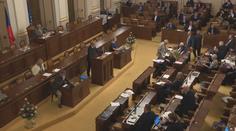 Sněmovna řeší tlumiče na zbraně. Po útoku na fakultě může dojít k jejich omezení