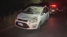 Dvě dopravní nehody způsobilo stádo koní na silnici. Nehody se neobešly bez zranění