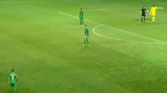 VIDEO: Zápas ruské fotbalové ligy byl přerušen. Na hřišti se objevil had