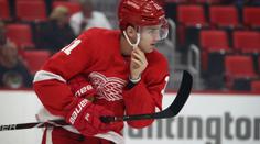 Zadina vystřelil Detroitu vítězství! Gólově se prosadil i Pastrňák