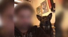 Muž přišel na policii jen v kožešině, předtím měl zabít vlastního psa