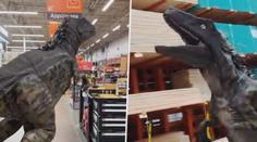 VIDEO: Povolili mu vstup do obchodu s mazlíčkem. Muž přišel s dinosaurem