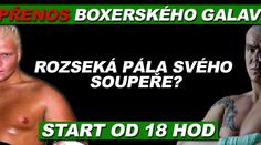 Sledujte PŘÍMÝ PŘENOS boxerského galavečera