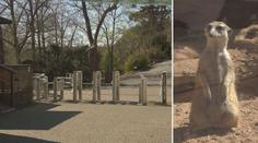 Zoologické zahrady třou bídu s nouzí. Téměř nemají peníze na provoz