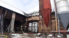 Stodola lehla popelem, uhořelo 14 ovcí, zbytku se povedlo utéct