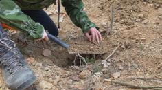 Kopači vltavínů jsou nepoučitelní. Do lesů chodí těžit i přes přísný zákaz