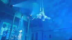 Ve čtvrtek začíná Signal Festival. Světelné instalace doplní akrobacie i zpěv