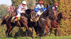 Velkou Pardubickou poběží favorité Sixteen a Tiumen, ale i Klaus