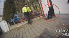 Marnivý kozel unikal strážníkům! Chytili ho, jak se kochá sám sebou