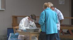 V malé obci se nechala otestovat třetina obyvatel, 53 z nich mělo covid