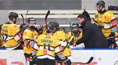 Mountfield se osamostatnil na čele extraligy, Litvínov utíká hrozbě baráže