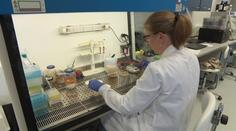Čeští vědci vyvinuli revoluční antibiotikum. Ničí i nejodolnější bakterie