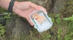 Geocaching je stále víc populární. Praha hostila největší mezinárodní sraz