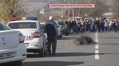 Medvěda srazilo auto. V bolestech umíral kvůli úřadům celý den