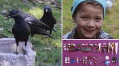 Jako Popelka: Gábinka (8) krmí vrány, ty jí za to nosí dárky! VIDEO