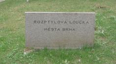 V Brně se bouří kvůli úpravám hřbitova. Vedení proto zve veřejnost k debatě
