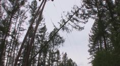 VÝSTRAHA ČHMÚ: Na severu bude foukat silný vítr, varují meteorologové