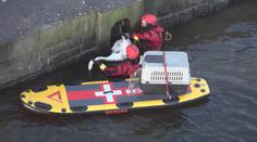 Bezvládná kráska ležela na hladině! Hasiči si vzali na pomoc paddleboard