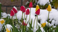 Do Evropy se vrátí sníh. Meteorologové si nevědí s počasím rady