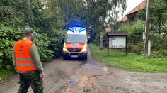 Osm táborníků skončilo v nemocnici. Hygienici řekli, proč jim bylo zle