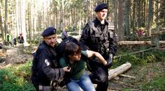 Soud se zastal odpůrců KÁCENÍ NA ŠUMAVĚ! Policisté NEMĚLI PRÁVO rozprášit blokádu aktivistů!