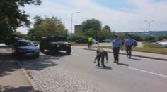 Takhle český veterán vystrčil holý zadek na americký konvoj. VIDEO