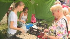 Česneková zmrzlina, čokoláda i kořalka. Na festivalu se česnekem i plivalo