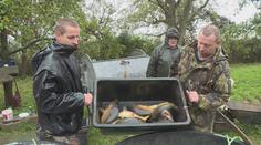VIDEO: Vypuštěné rybníky a šupináči v sítích! Začaly tradiční výlovy