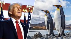 Donald Trump uvalil cla na ostrov, kde žijí jen tučňáci