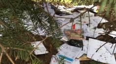 Pošťák vyhodil stovky dopisů na ulici. Roznáška ho nebavila