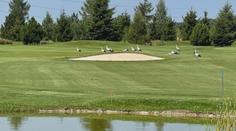 Ojedinělá podívaná v Mladé Boleslavi! Několik čápů tam "hrálo" golf