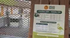 Nová opatření v jihlavské zoo kvůli ptačí chřipce. Teď už se týkají i návštěvníků
