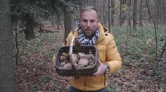 V polovině listopadu na houby? Štáb TV Nova jich našel plný koš