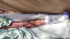 Myslel si, že v lese našel ženské tělo bez hlavy. Obsah krabice policisty překvapil