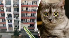 Kočka umírala zaseklá ve větračce. Hasiči ji zachránili po mnoha hodinách