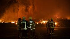 Portugalsko trápí velké požáry. Zemřeli už čtyři hasiči