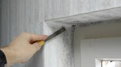 Trápí vás vlhkost a plíseň v domě? Existuje jednoduché řešení