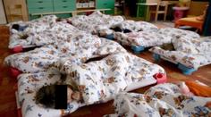 SKANDÁL v mateřské školce na Třebíčsku: Učitelka (47) nadýchala téměř 3 promile!